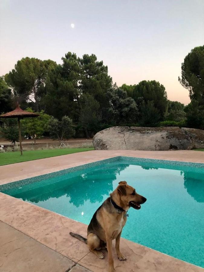 Casa Valdesanmartin - Country House, 10500sqm, Pool, Paddel & Bbq El Tiemblo