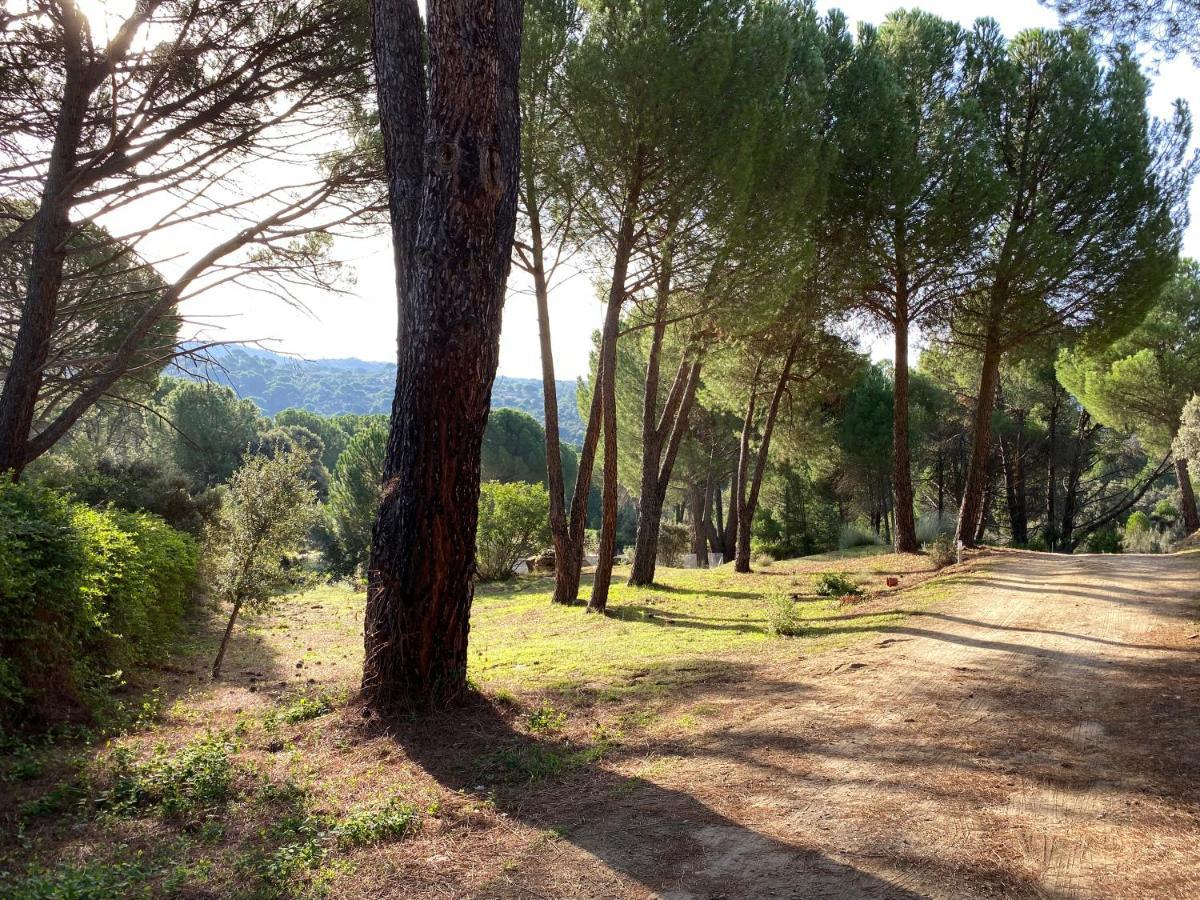 Casa Valdesanmartin - Country House, 10500sqm, Pool, Paddel & Bbq *