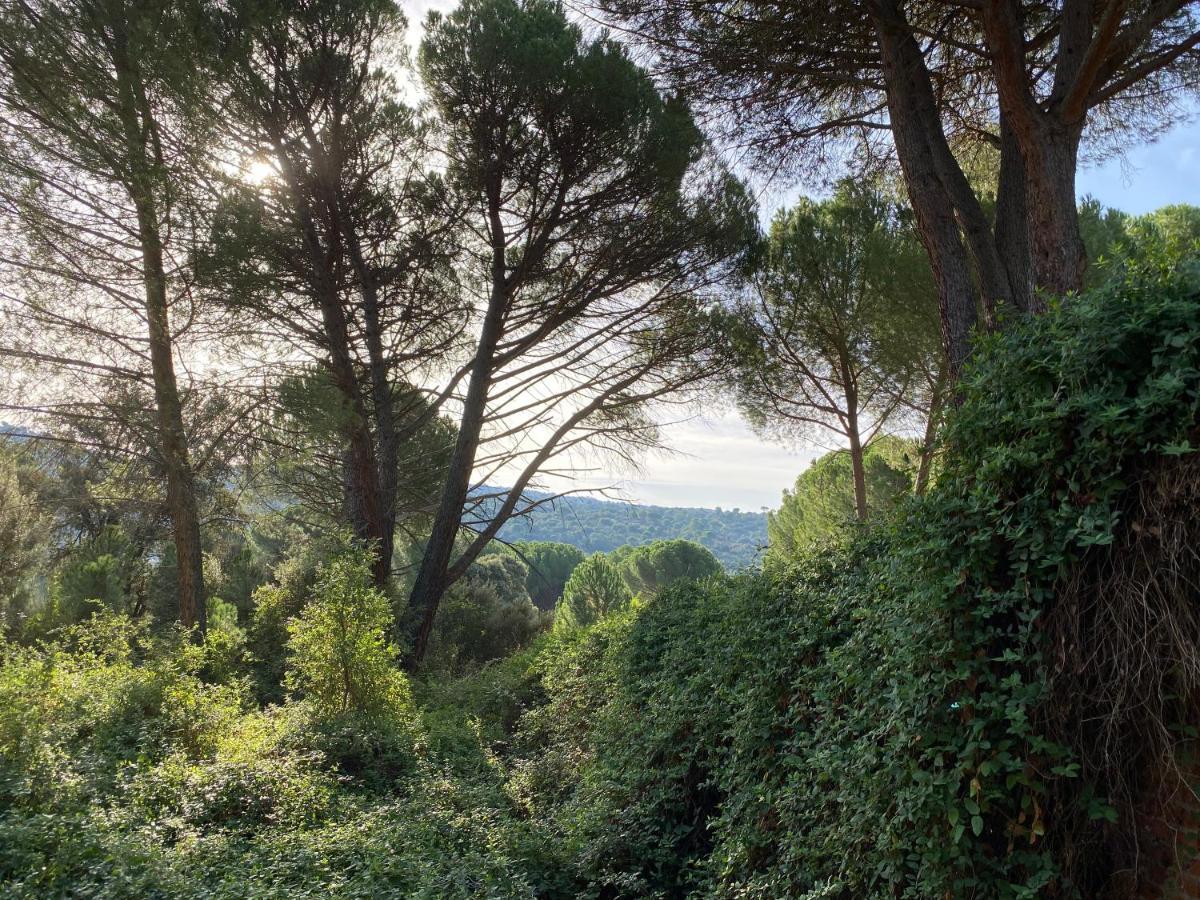 Holiday home Casa Valdesanmartin - Country House, 10500sqm, Pool, Paddel & Bbq El Tiemblo